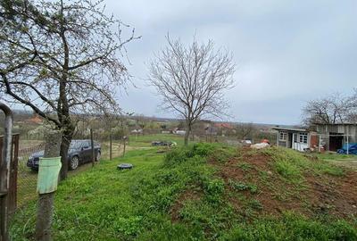 RECO Casa in  Diosig 2cam  30km de Oradea - 8