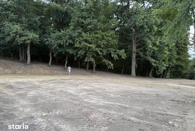 Teren de 559 mp, în Central - 1