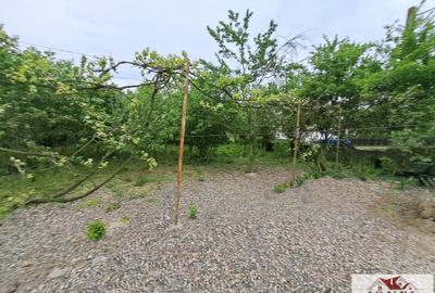 Vanzare casa cu 2000 mp teren in zona Vintu de Jos - 9