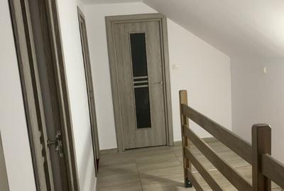 Cabana libera de Craciun ?i Revelion - 3