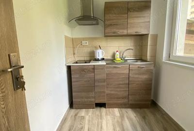 Apartament 1 camera la cheie - 3