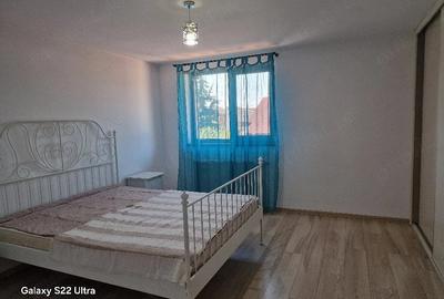 Casă cu 1 camere cu Teren 350 Mp în Dumbrăvița - 7