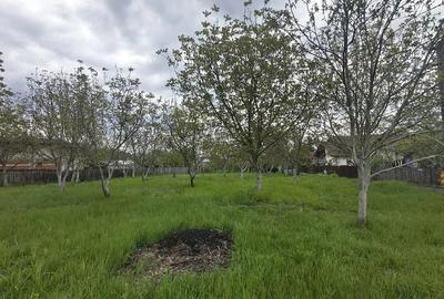 Teren de 1457 mp, în Dărmănești - 3