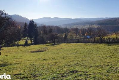 Teren de 2281 mp, în Valea Doftanei - 2