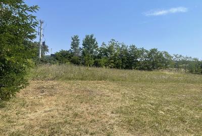 Spațiu comercial, în Budacu de Jos - 3