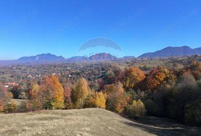 Teren de 2500 mp, în Bran - 2