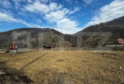 Teren intravilan cu cabanuta, 3797 mp, Valea Manastirii Ramet - 2