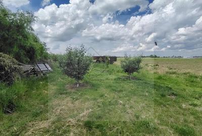 Teren intravilan Ciocanesti Cretu - 9282 mp divizat in 15 loturi - 6