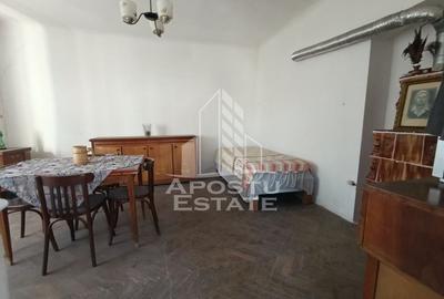 Casa individuala cu teren generos 2158mp, front 12m, livada, Freidorf - 31