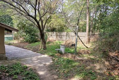 Vanzare casa batraneasca+teren - 3