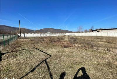 Teren de 2936 mp, în Șuncuiuș - 3