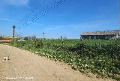 Teren Bradesti, ID: R2805453 - 2