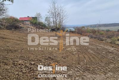 Teren Construcții intravilan de 900 mp, în Vișani - 3