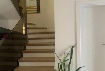 Casă cu Teren 250 Mp în Central - 6