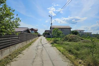 Teren de 400 mp, în Berceni - 3