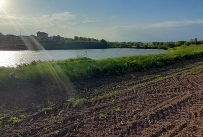 Spațiu comercial, în Berceni - 3