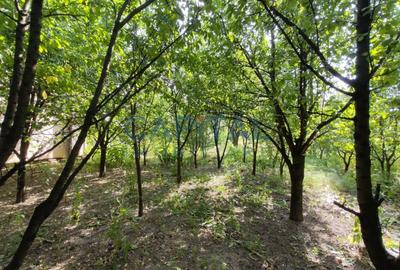 Casa de vanzare in cartierul Bulgaria. Comision 0! - 16