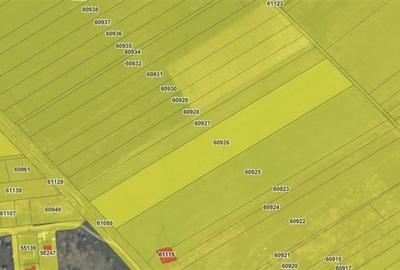 Vanzare Teren strada Viitorului- Ciorogarla - 4