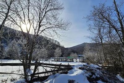 Teren Construcții intravilan de 3200 mp, în Est - 6