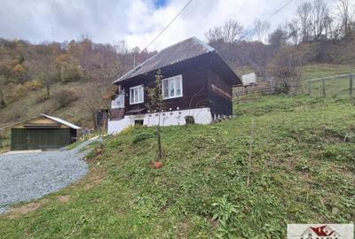 Casa de vanzare in Bistra -1700 mp teren - 2