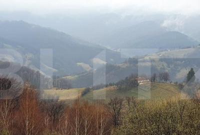 Teren 9648 mp, priveliste superba, Poiana Marului! Teren 9648 mp, priveliste superba, Poiana Marului! - 2