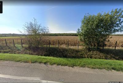 Teren agricol intravilan de 11791 mp, în Sântandrei - 2