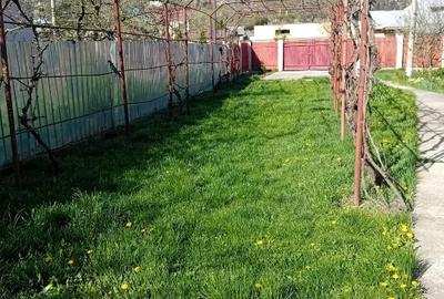 Casă individuală cu 5 camere cu Teren 1280 Mp în Central - 3