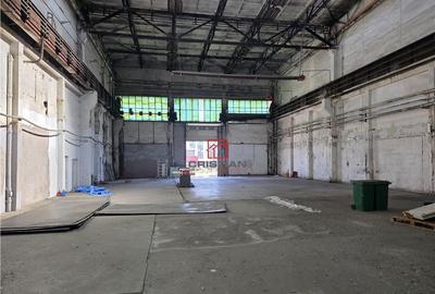 Depozit/hala/spatiu industrial Basarabia - Faur - 5