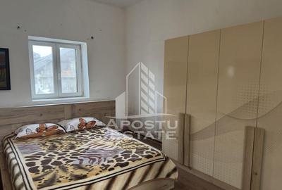 Casă cu 5 camere cu Teren 3383 Mp în Remetea Mare - 10
