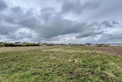 Spațiu comercial, în Cihei