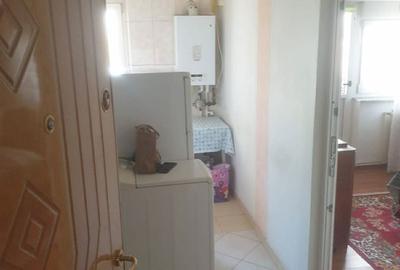 Garsonieră decomandată în Lăpuș Argeș - 4