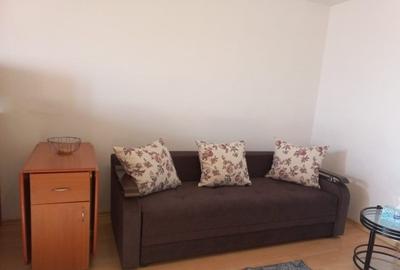 Apartament cu 1 camera, etajul 7/9, zona Tatarasi - 5