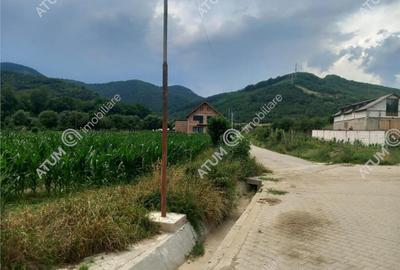 De 733 mp in Boita Sibiu - 6