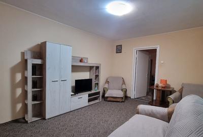 Apartament 2 camere Tatarasi Pet Friendly - 7