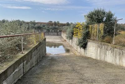 Ovidiu 6 ha teren intravilan construibil îngrădit și platforma betonata. - 11