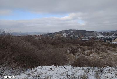 Teren de 11000 mp, în Tomești - 3