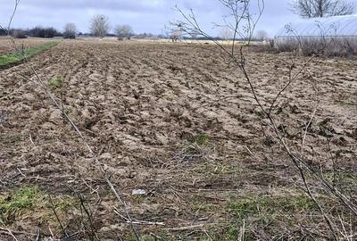 Teren agricol extravilan de 5000 mp, în Vărăști - 1