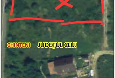 Spațiu comercial, în Chinteni - 2