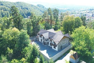 Pensiune de vanzare in Sovata Conacul Cosalina - 2