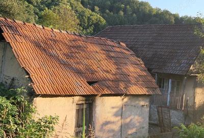 Casă cu 3 camere în Căpruța - 6