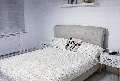Apartament cu 3 camere semidecomandat în Gojdu - 3