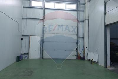 Spațiu industrial, de 880 mp, în Muntenii de Jos - 38