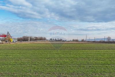 Teren agricol intravilan de 5300 mp, în Prejmer - 8