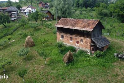 Teren de 6200 mp, în Cicănești - 2