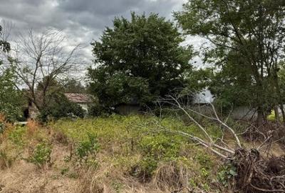 Casa cu teren Valcelele, Calarasi. - 4