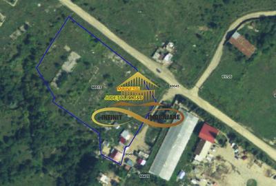 Teren pentru constructie hala indrustriala - Moinesti/Bacau - 5