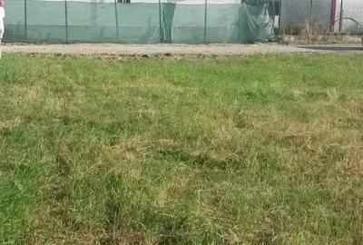 Teren de 500 mp, în Albota - 4