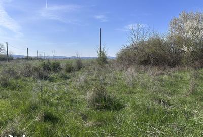 Teren de 4800 mp, în Aninoasa - 3