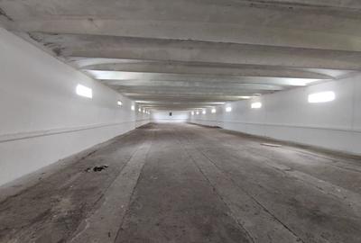 Spațiu industrial, de 1,200 mp, în Bod - 9