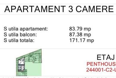 Penthouse cu 3 camere decomandat în Viilor - 2